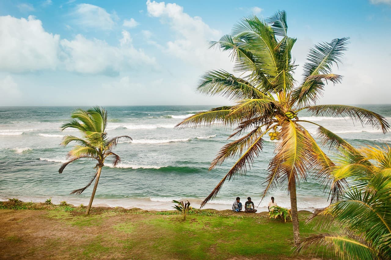 A peaceful coastal view in Sri Lanka with palm trees in the foreground and the ocean waves rolling onto the shore.